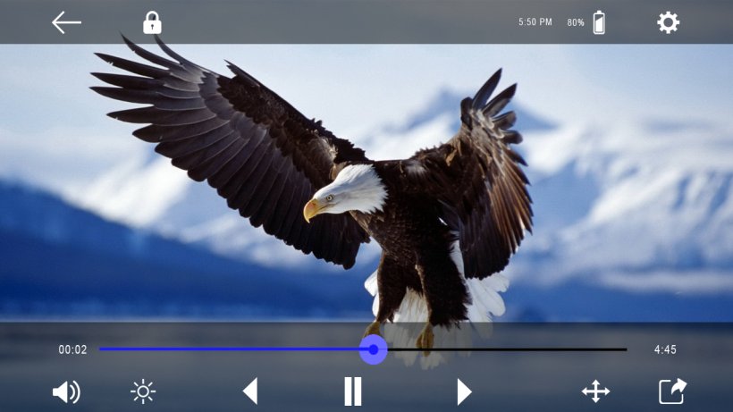 Bird Bald Eagle High-definition Television Desktop Wallpaper, PNG, 1280x720px, 4k Resolution, Bird, Accipitriformes, Bald Eagle, Beak Download Free