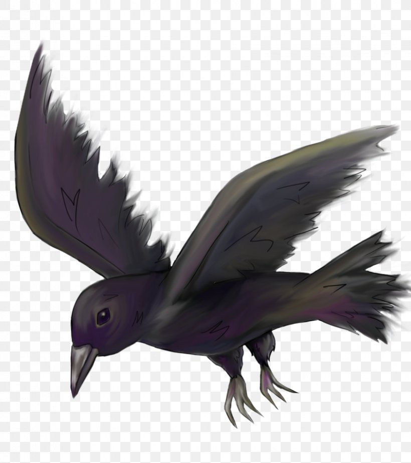 Bird Drawing Image Common Raven Pencil, PNG, 843x948px, Bird, Animal, Art, Beak, Bird Of Prey Download Free