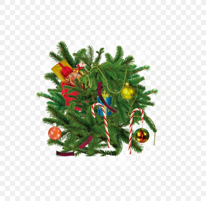 Christmas Tree Santa Claus Gift, PNG, 800x800px, Santa Claus, Christmas, Christmas Decoration, Christmas Ornament, Christmas Tree Download Free