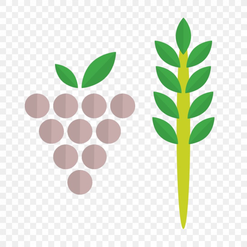 Common Grape Vine Royalty-free, PNG, 1134x1134px, Common Grape Vine, Grape, Grape Leaves, Grapevines, Grass Download Free