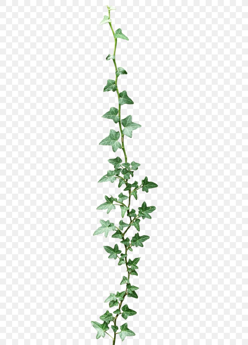 Flower 24/7 Hydroponics Garland Floral Design Clip Art, PNG, 248x1140px, Flower, Balloon, Branch, Cut Flowers, Do It Yourself Download Free