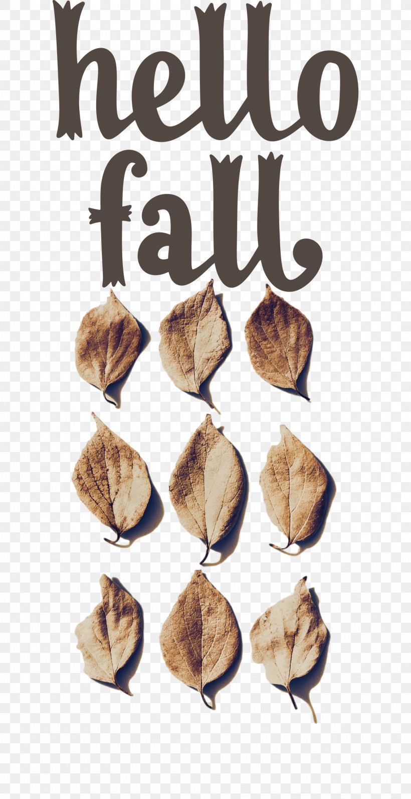 Hello Fall Fall Autumn, PNG, 1546x3000px, Hello Fall, Artist, Autumn, Beatport, Discography Download Free