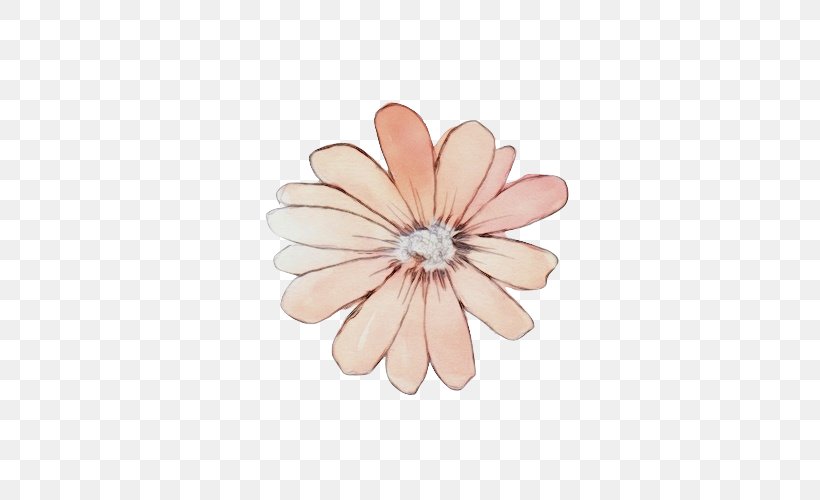 Pink Petal Gerbera Flower Plant, PNG, 500x500px, Watercolor, Beige, Flower, Gerbera, Jewellery Download Free