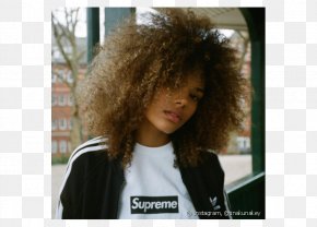 Hair - Tina Kunakey Chestnut Brown Hair Blond PNG