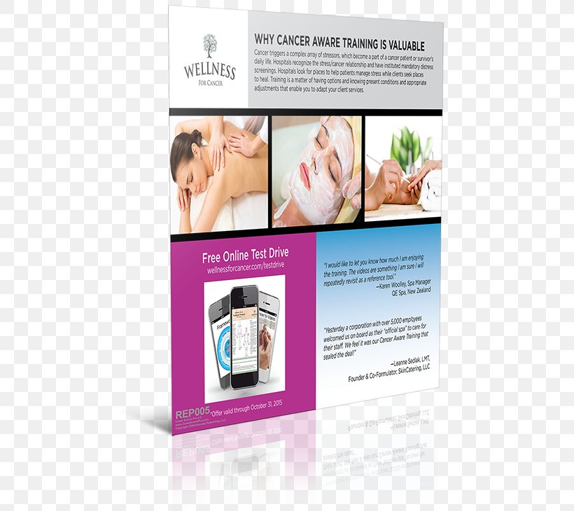 Brand Brochure, PNG, 494x730px, Brand, Advertising, Brochure Download Free