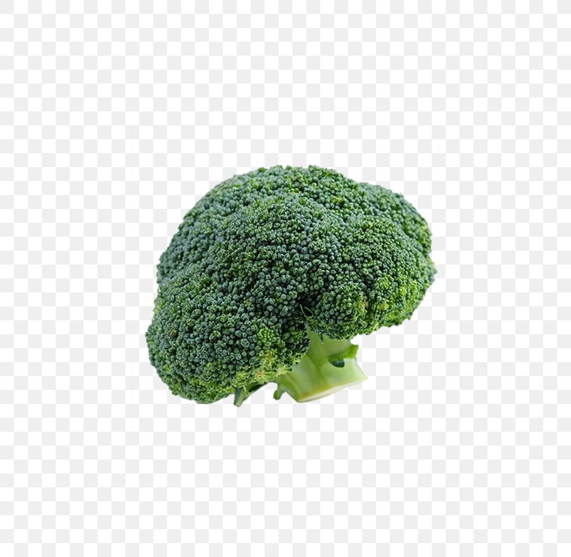 Broccoli Vegetable Cauliflower, PNG, 800x800px, Broccoli, Brassica Oleracea, Cabbage, Carrot, Cauliflower Download Free