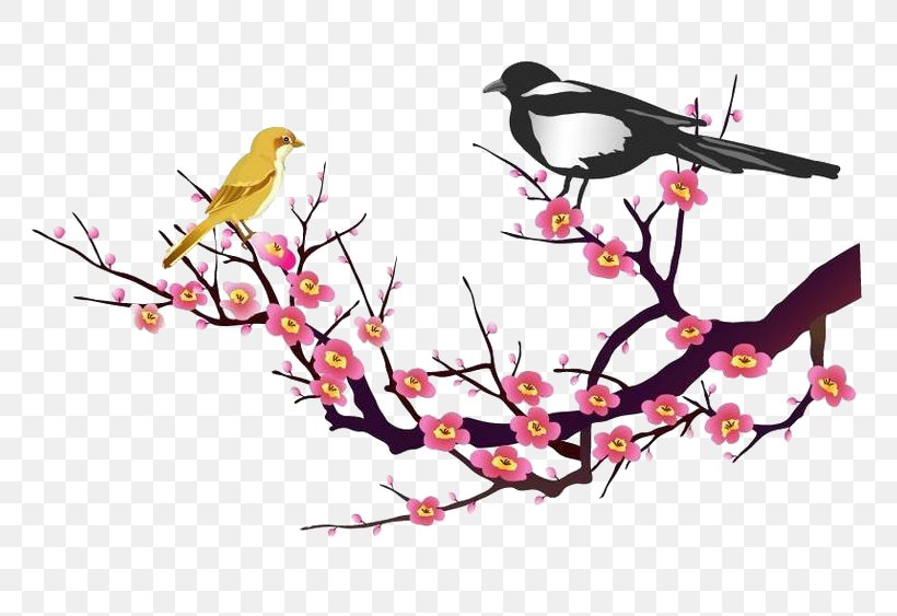 Lunar New Year Peach Ochna Integerrima, PNG, 800x563px, Bird, Art, Beak, Blossom, Branch Download Free