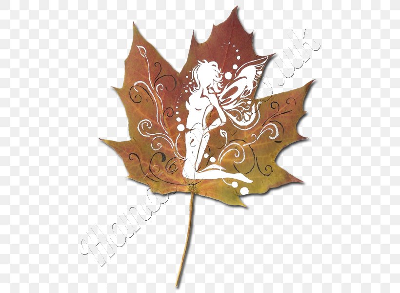 Maple Leaf, PNG, 600x600px, Maple Leaf, Leaf, Maple, Plant, Tree Download Free