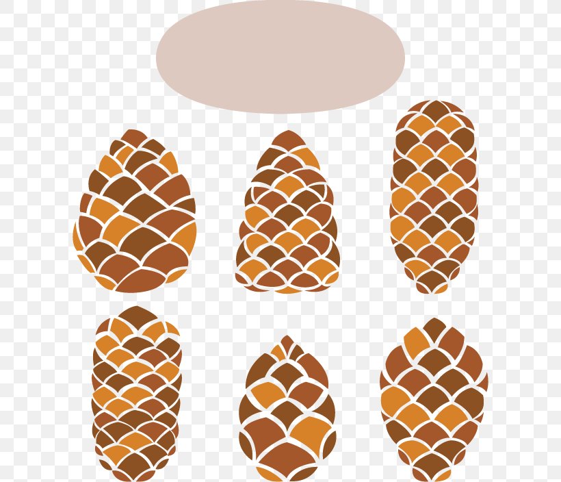 Conifer Cone Pine Euclidean Vector, PNG, 608x704px, Conifer Cone, Cone, Drawing, Flower, Orange Download Free