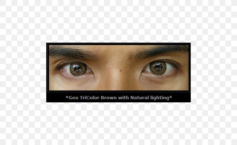 Eyelash Extensions Brown Eye Shadow Eye Liner Contact Lenses, PNG, 500x500px, Eyelash Extensions, Artificial Hair Integrations, Brown, Cheek, Close Up Download Free