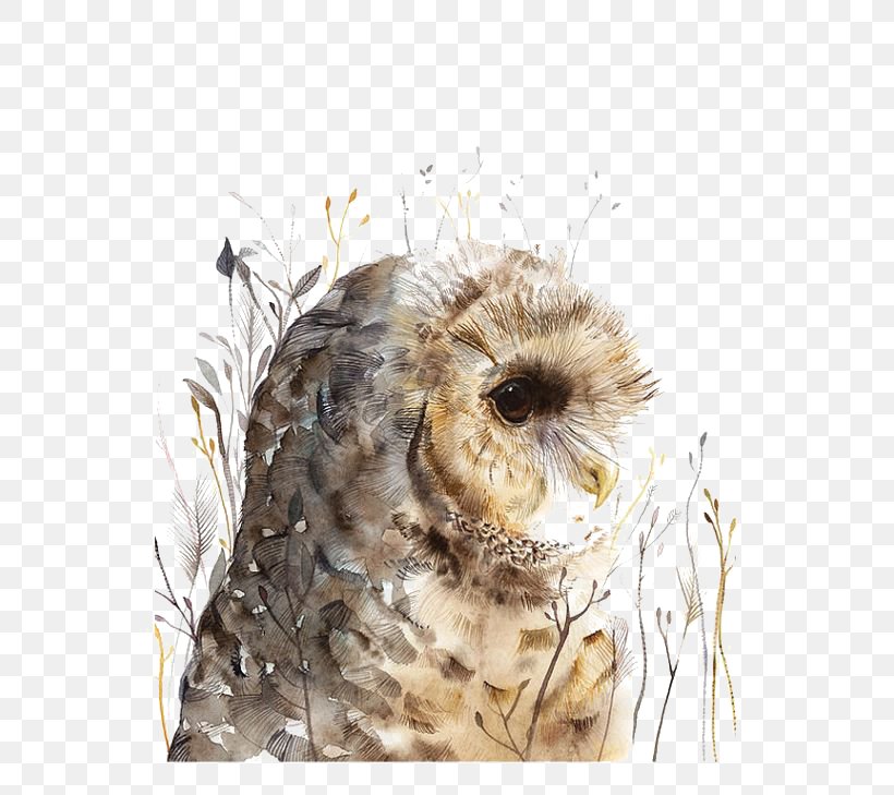 Owl Watercolor Painting Art, PNG, 564x729px, Owl, Art, Art Museum, Beak, Bird Download Free