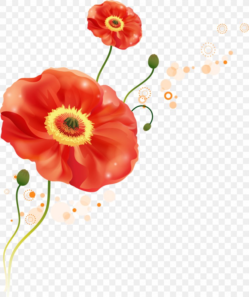 Sticker Mural Flower Wall Decal Decorative Arts, PNG, 996x1189px, Sticker, Art, Common Poppy, Coquelicot, Cut Flowers Download Free