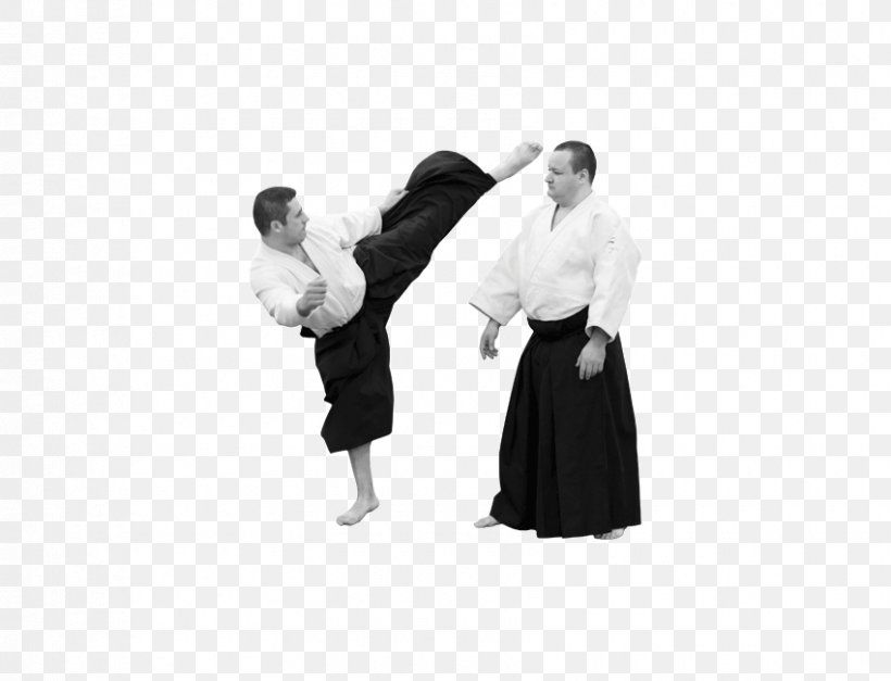 Aikido Dobok H&M, PNG, 850x650px, Aikido, Arm, Dobok, Hand, Japanese Martial Arts Download Free