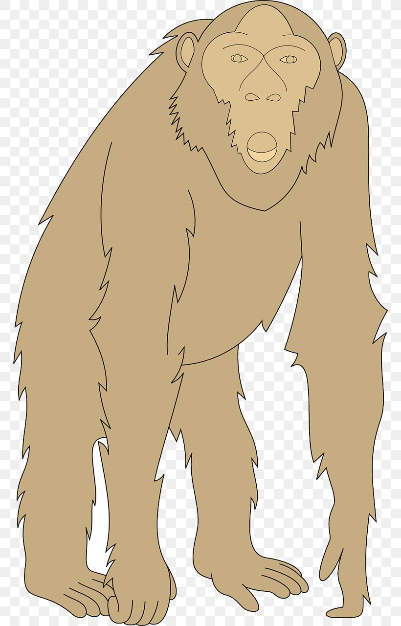 Gorilla Orangutan Homo Sapiens Illustration, PNG, 766x1280px, Watercolor, Cartoon, Flower, Frame, Heart Download Free