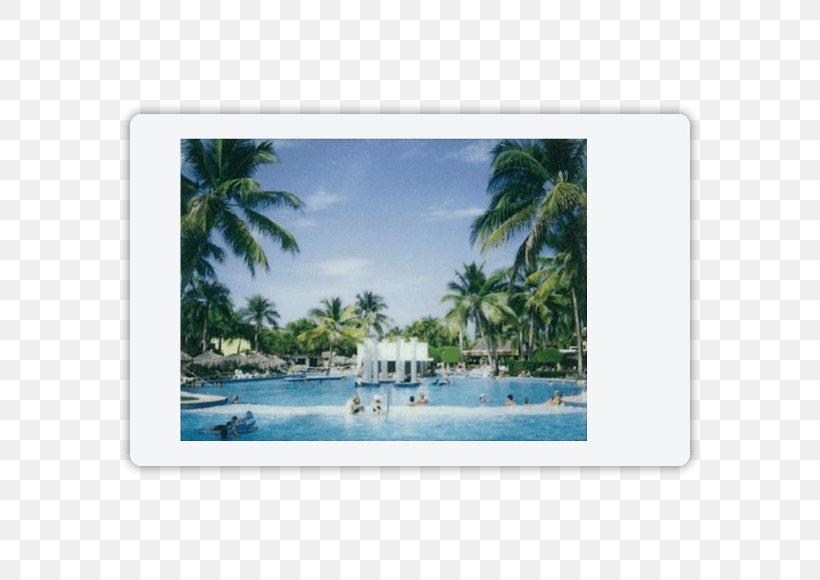 Caribbean Tropics Vacation, PNG, 580x580px, Caribbean, Tropics, Vacation Download Free