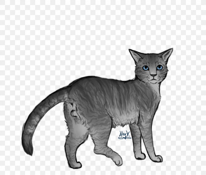 Devon Rex Kitten Whiskers Warriors Domestic Short-haired Cat, PNG, 969x824px, Devon Rex, Art, Asian, Black And White, Burmese Download Free