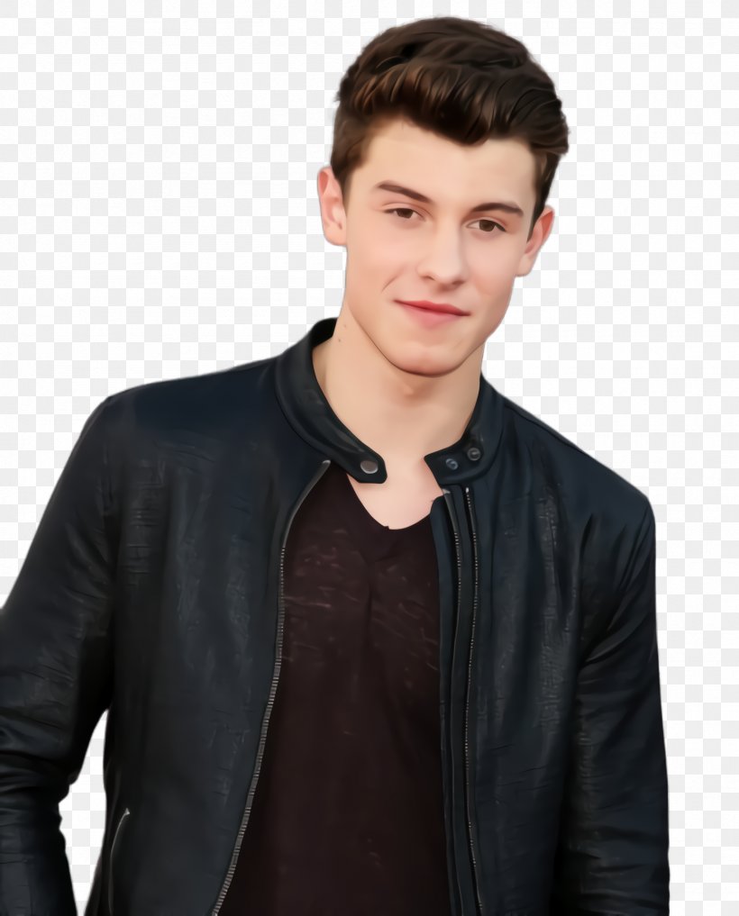 Hair Cartoon, PNG, 1796x2228px, Shawn Mendes, Black Hair, Blazer, Bluecollar Worker, Brown Download Free