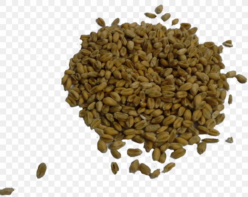 Nut Commodity Seed, PNG, 1266x1010px, Nut, Bean, Commodity, Ingredient, Nuts Seeds Download Free