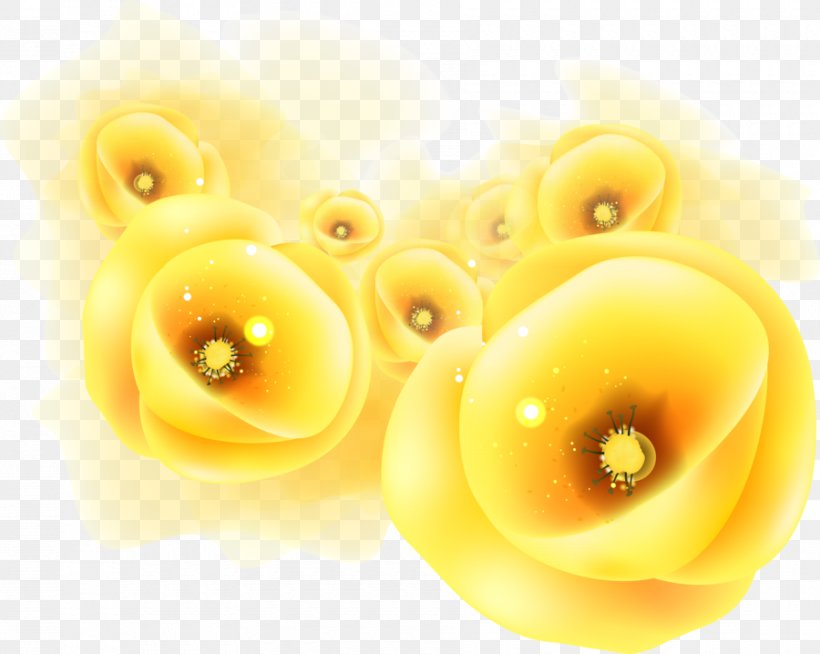 Yellow Photography Clip Art, PNG, 900x718px, Yellow, Author, Chrysanthemum, Color, Flower Download Free