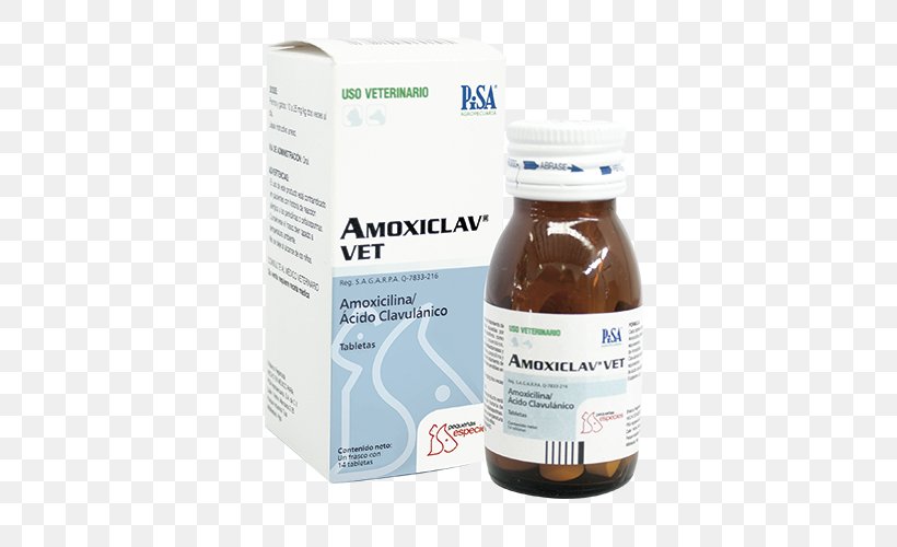 Amoxicillin/clavulanic Acid Veterinary Medicine Penicillin, PNG, 500x500px, Amoxicillinclavulanic Acid, Ambroxol, Amoxicillin, Ampicillin, Cefotaxime Download Free