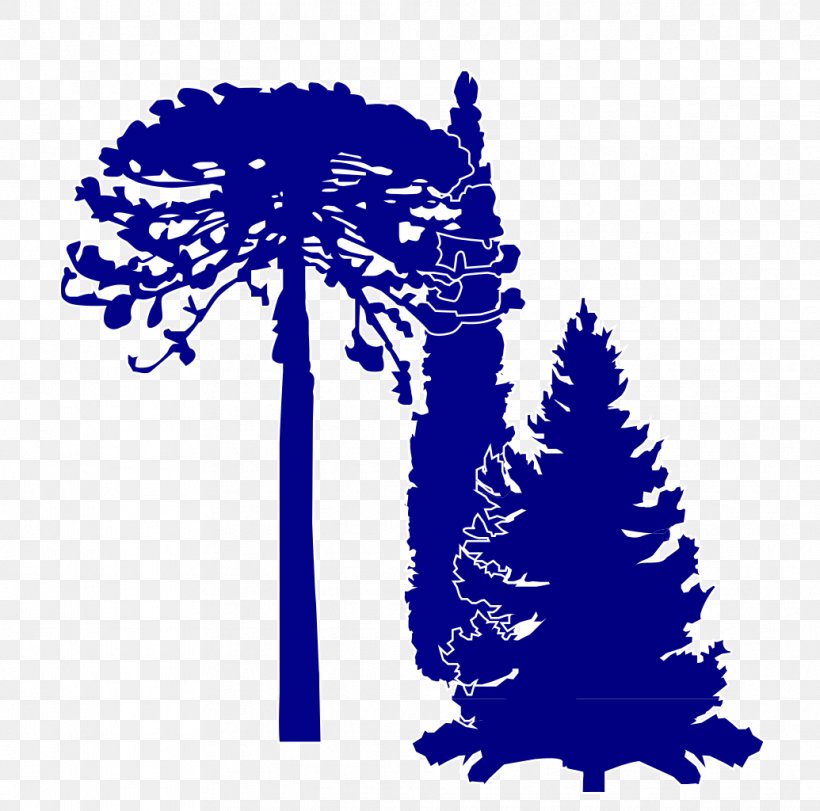 Cartoon Tree, PNG, 1035x1024px, Pine, Conifers, Cupressus, Electric Blue, Gymnosperm Download Free