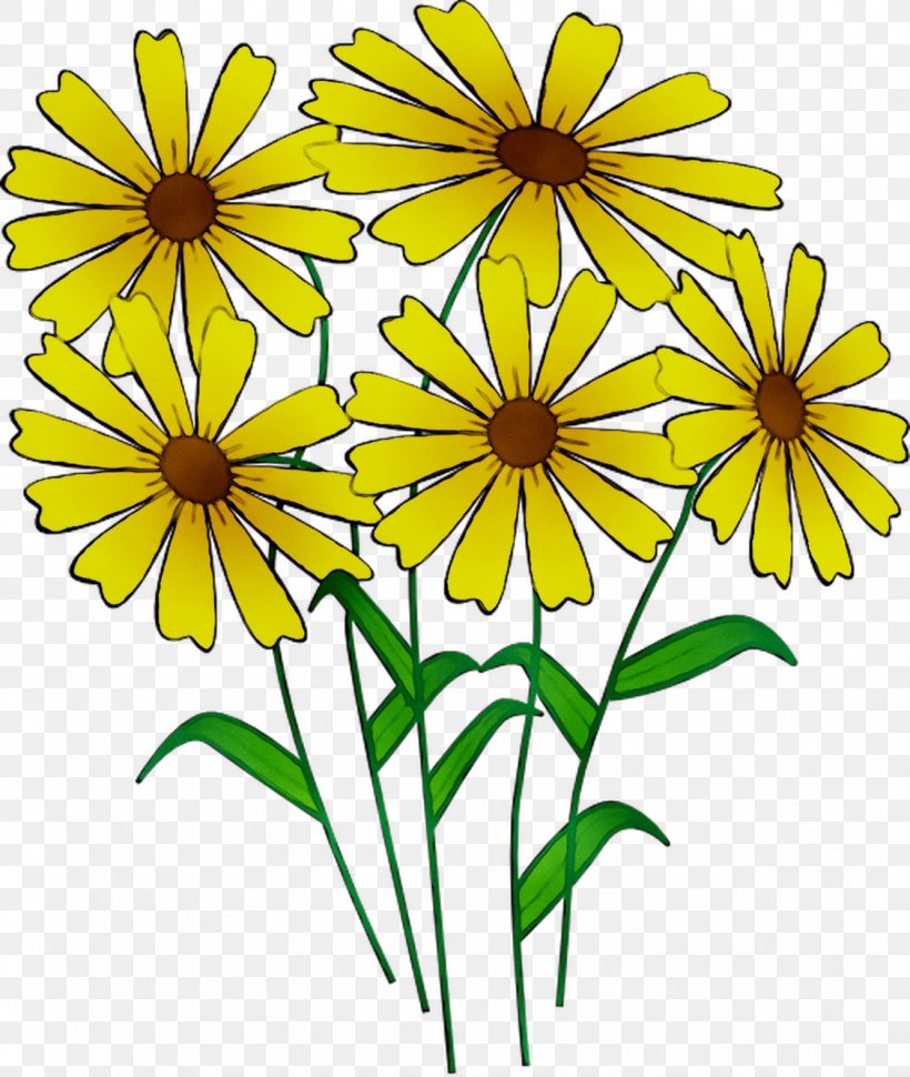 Clip Art Openclipart Free Content Flower Image, PNG, 1125x1332px, Flower, Botany, Chamomile, Cut Flowers, Daisy Family Download Free