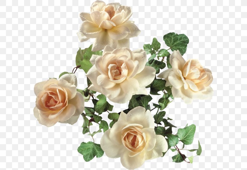 Garden Roses Clip Art, PNG, 600x566px, Garden Roses, Arranging Cut Flowers, Artificial Flower, Cut Flowers, Digital Image Download Free