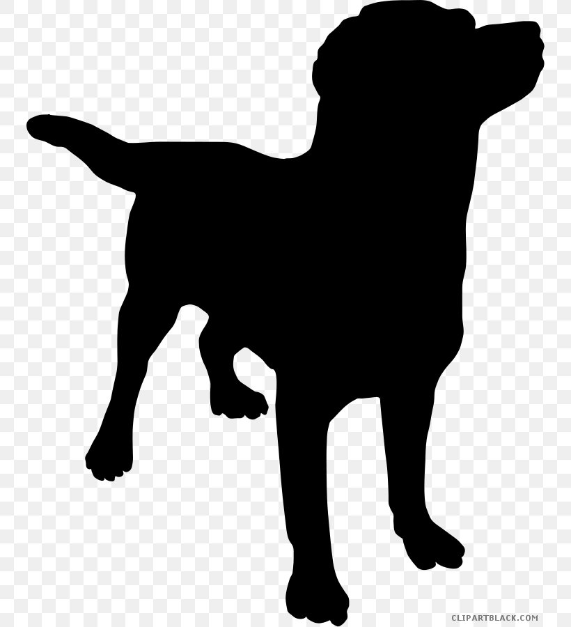Labrador Retriever Golden Retriever Puppy Beagle, PNG, 744x900px, Labrador Retriever, Aging In Dogs, Beagle, Black, Black And White Download Free