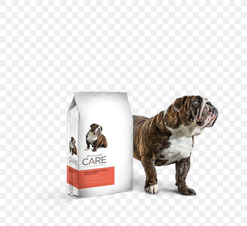 Dog Breed Bulldog Cat Dog Food Dog Chow, PNG, 800x750px, Dog Breed, Beneful, Breed, Bulldog, Carnivoran Download Free