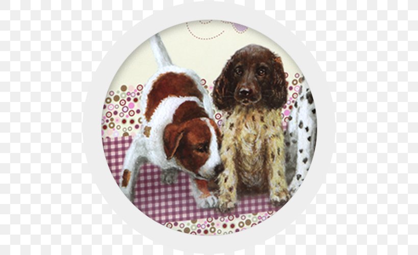 English Springer Spaniel Boykin Spaniel Puppy Welsh Springer Spaniel Dog Breed, PNG, 500x500px, English Springer Spaniel, Boykin Spaniel, Breed, Companion Dog, Crossbreed Download Free
