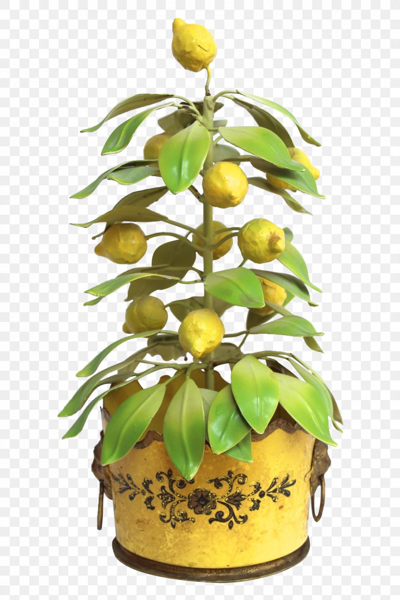 Floral Design Flowerpot Houseplant Fruit, PNG, 1680x2520px, Floral Design, Floristry, Flower, Flowerpot, Fruit Download Free