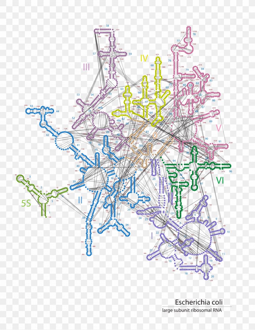 Line Drawing Map, PNG, 5000x6471px, Drawing, Area, Art, Branch, Diagram Download Free