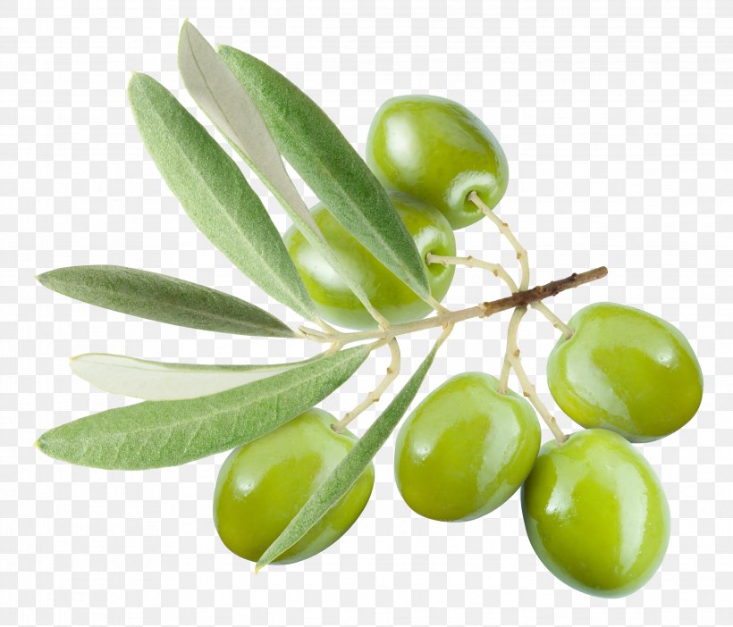 Olive Leaf Olive Oil, PNG, 4671x4001px, Olive, Arbequina, Extract, Food, Fruit Download Free