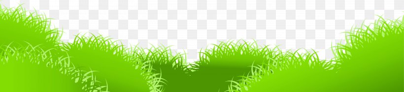 Sunlight Lawn Text Meadow Illustration, PNG, 3034x695px, Sunlight, Computer, Energy, Grass, Grass Family Download Free