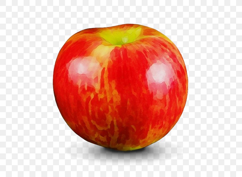 Fruit Natural Foods Apple Food Plant, PNG, 600x600px, Watercolor, Accessory Fruit, Apple, Food, Fruit Download Free