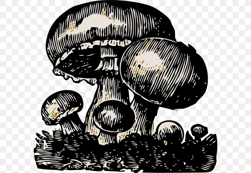 Mushroom Cloud Food Clip Art, PNG, 600x567px, Mushroom, Agaricus, Agrocybe, Black And White, Common Mushroom Download Free