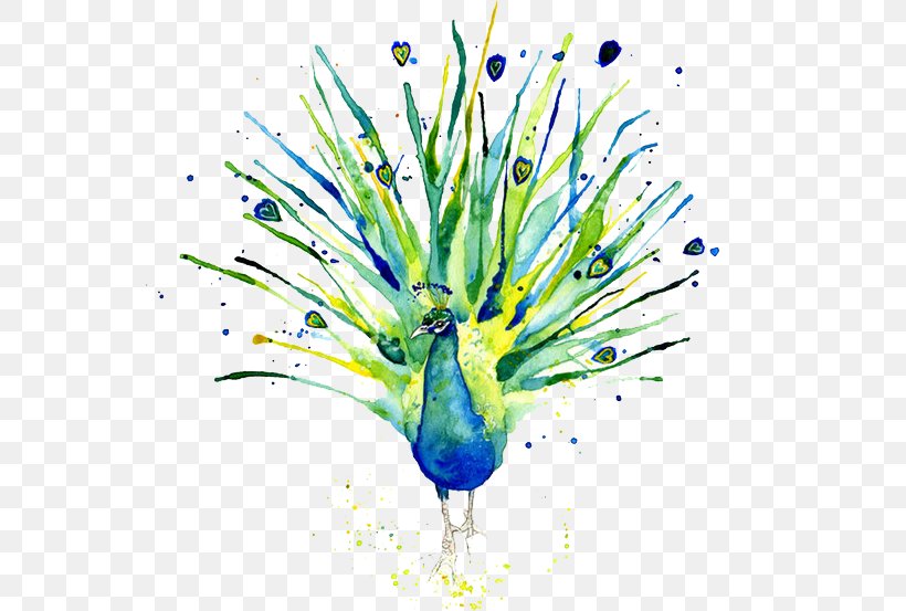 Peafowl Logo Of NBC Watercolor Painting, PNG, 556x553px, Peafowl, Beak, Designer, Drawing, Feather Download Free