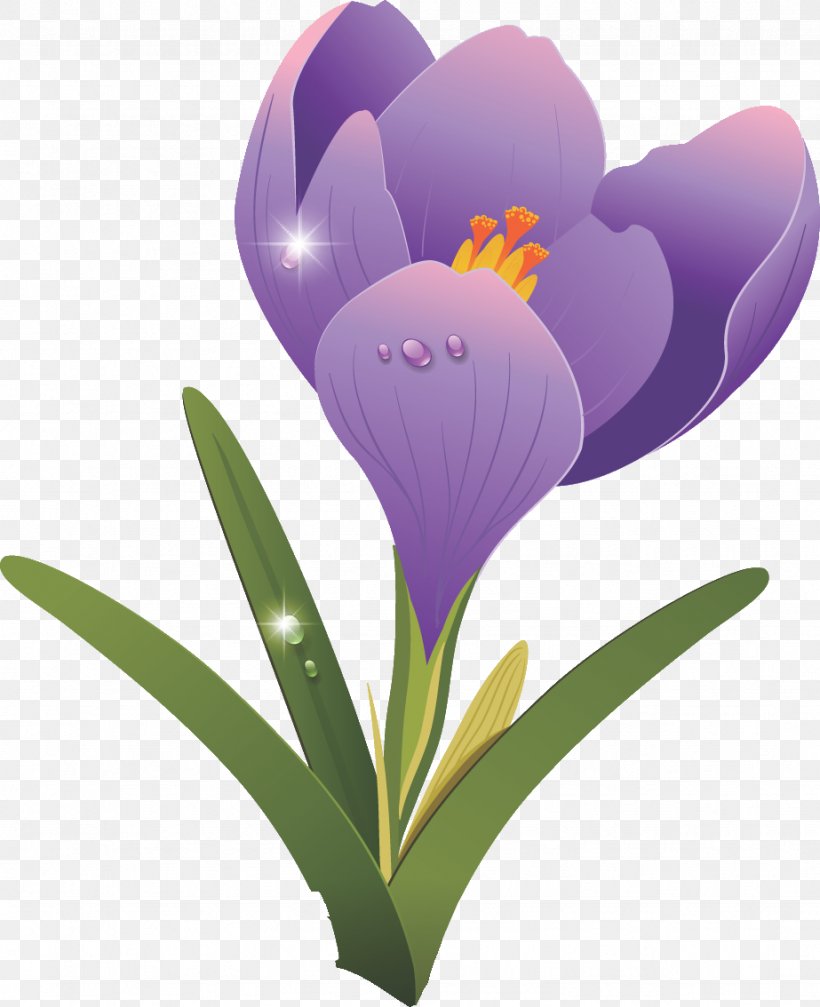 Flower Clip Art, PNG, 923x1134px, Flower, Blue, Color, Crocus, Flowering Plant Download Free