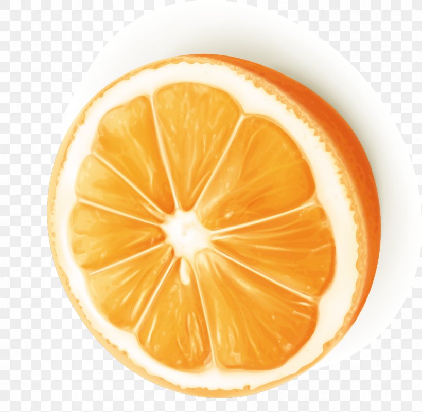 Orange Juice Orange Slice Clip Art, PNG, 1197x1171px, Juice, Citric Acid, Citrus, Food, Fruit Download Free