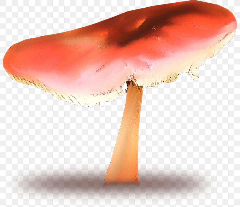 Product Design Medicinal Fungi Mushroom, PNG, 800x707px, Medicinal Fungi, Agaricomycetes, Medicinal Mushroom, Medicine, Mushroom Download Free