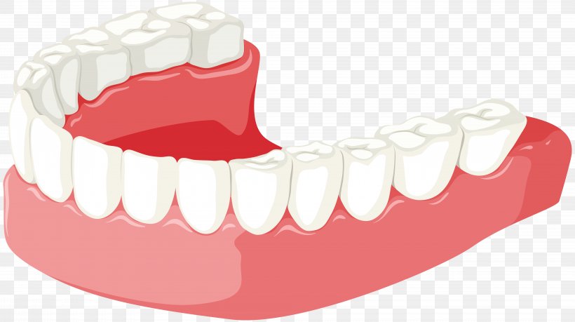 Tooth Jaw Dentures Clip Art, PNG, 8000x4487px, Watercolor, Cartoon, Flower, Frame, Heart Download Free