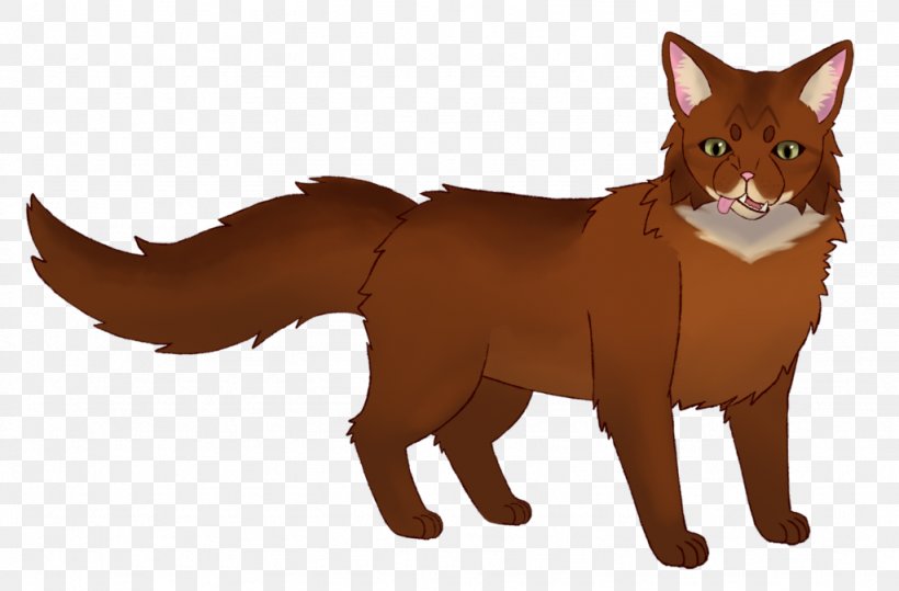 Whiskers Red Fox Cat Fur Snout, PNG, 1024x674px, Whiskers, Carnivoran, Cartoon, Cat, Cat Like Mammal Download Free