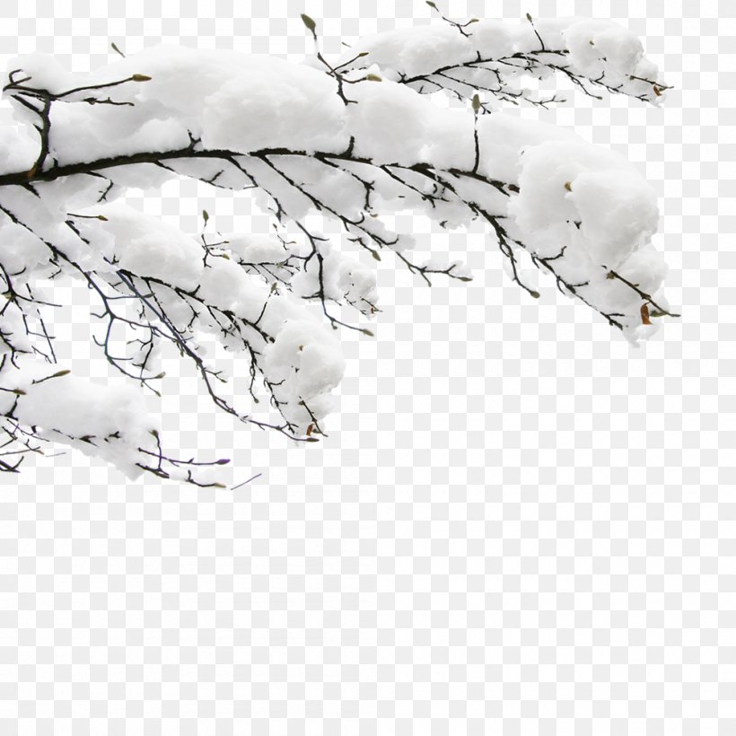 Dongzhi Daxue Snow Template, PNG, 1000x1000px, Dongzhi, Android, Black And White, Branch, Data Download Free