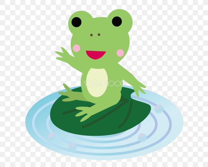 Frog Cartoon Surface Water, PNG, 660x660px, Frog, Amphibian, Aqua, Cartoon, Color Download Free