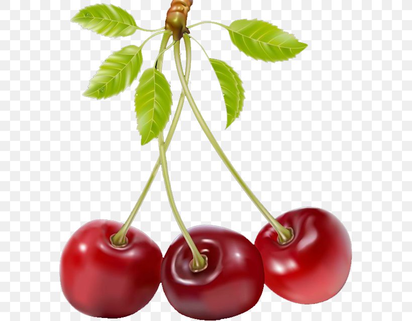 Juice Strawberry, PNG, 583x638px, Juice, Acerola, Acerola Family, Axe7axed Palm, Berry Download Free