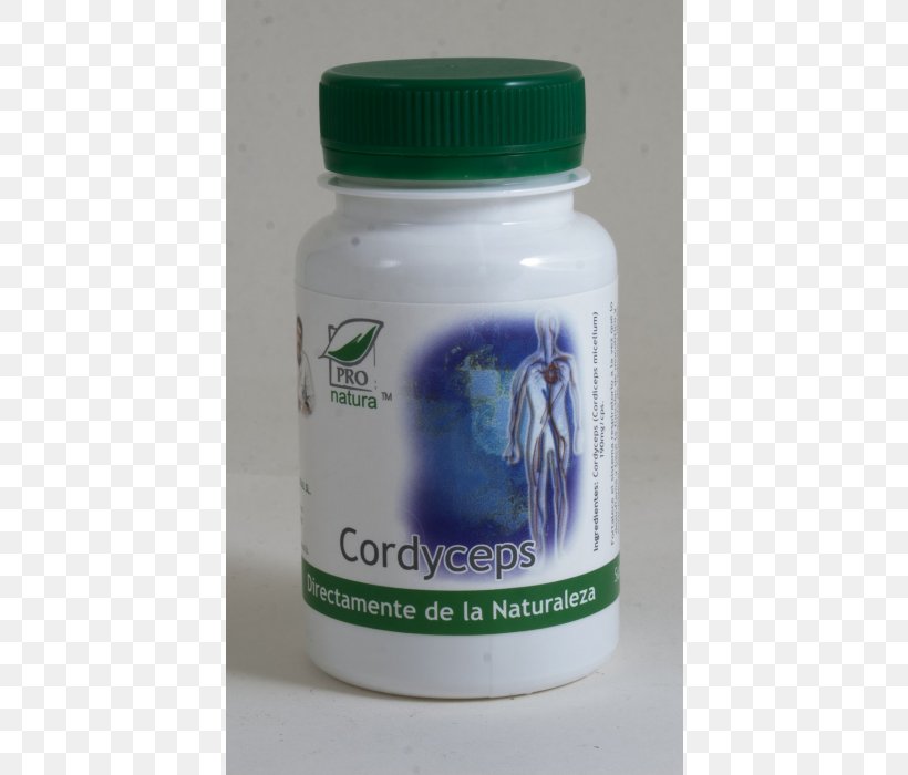 Cordyceps Immunity Antioxidant Inflammation Therapy, PNG, 700x700px, Cordyceps, Antioxidant, Capsule, Coccus, Herbal Download Free