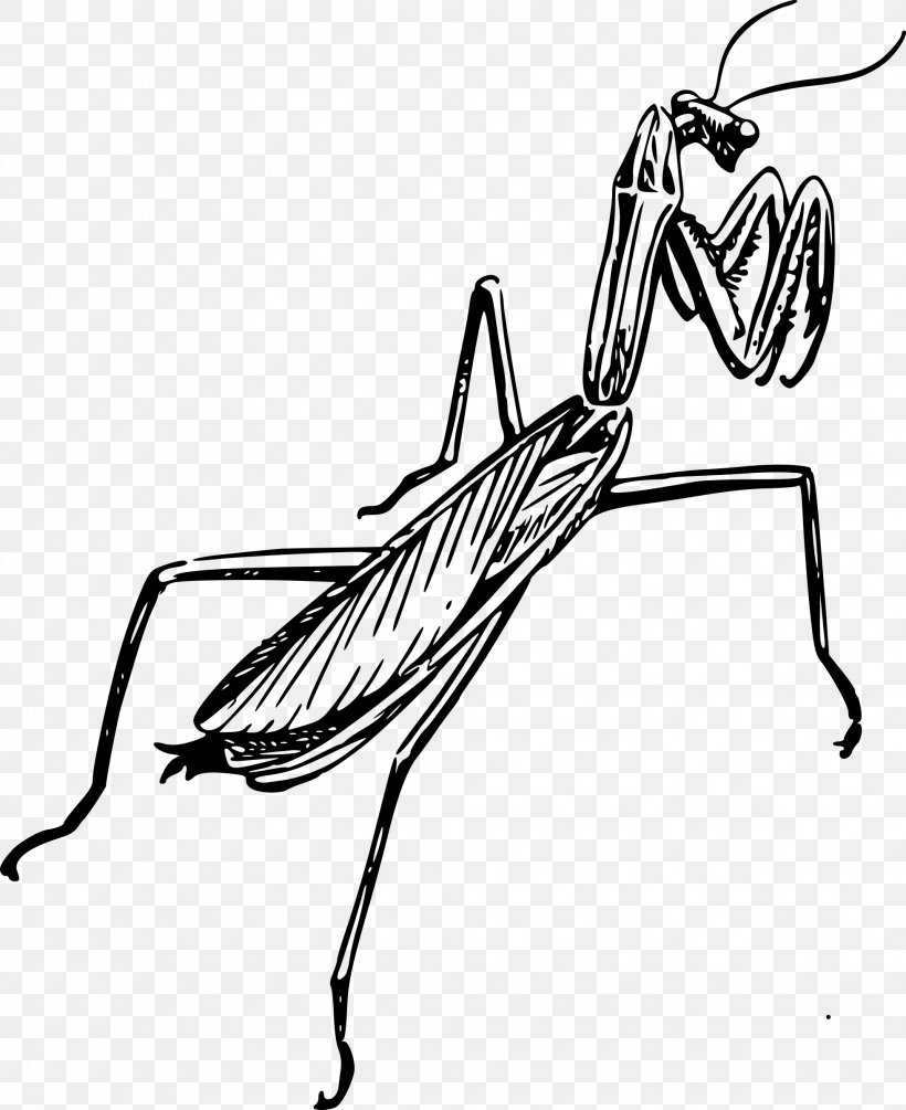 European Mantis Line Art Black And White Drawing Clip Art, PNG, 1958x2400px, European Mantis, Architectural Drawing, Arthropod, Artwork, Automotive Design Download Free