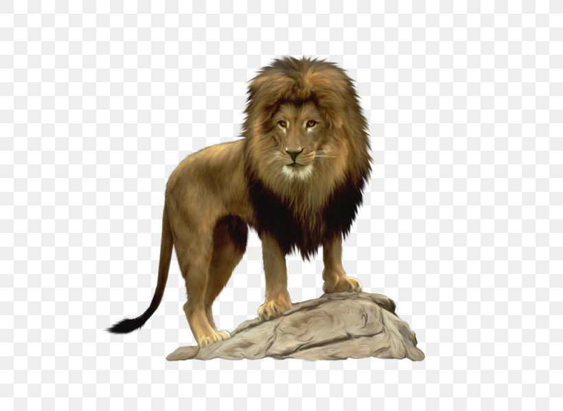 Lion-O Cat, PNG, 600x600px, Lion, Big Cats, Carnivoran, Cartoon, Cat Download Free