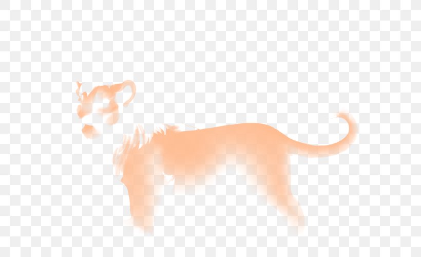 Whiskers Dog Cat Snout Desktop Wallpaper, PNG, 640x500px, Whiskers, Big Cats, Carnivoran, Cat, Cat Like Mammal Download Free