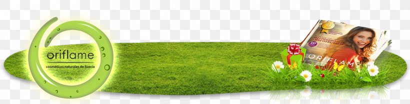 Brand, PNG, 1370x350px, Brand, Grass, Green Download Free